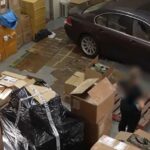 Cão farejador da AFP