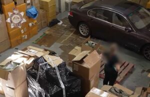 Irmãos WA enfrentam tribunal por suposta ‘ameaça à segurança nacional da Austrália’ Cão farejador da AFP