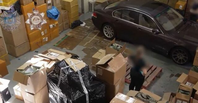 Cão farejador da AFP