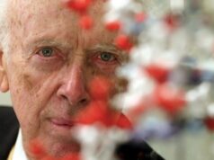 James Watson, co-descobridor da hélice do DNA, morre aos 97 anos As observações posteriores de Watson sobre raça e inteligência provocaram protestos.