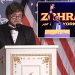 Javier Milei dá as boas-vindas 'calorosamente' aos nova-iorquinos na Argentina para evitar o governo 'comunista' de Mamdani