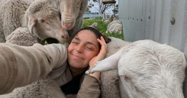 Jenay protestou contra as exportações de animais vivos – então ela se apaixonou por um fazendeiro
