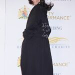Jessie J não deixou o tempo tempestuoso abafar seu ânimo enquanto ela sorria enquanto seus cabelos escuros eram espalhados no tapete vermelho do Royal Variety Performance na noite de quarta-feira.