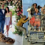 Emily Ting e Johnny Knoxville comparecem à estreia do tapete vermelho do Hulu