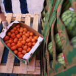 Desenho animado de Clay Bennett