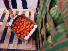 Juiz federal ordena que a administração Trump financie totalmente os benefícios do SNAP em novembro Desenho animado de Clay Bennett