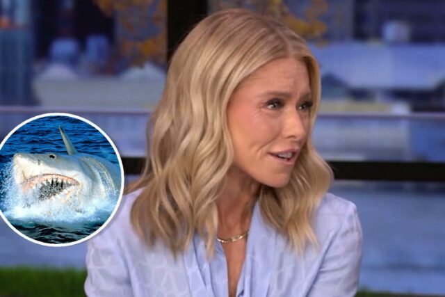 Kelly Ripa admite que “sempre torceu pelo tubarão” em ‘Tubarão’: “Eu simplesmente me senti mal quando o explodiram”
