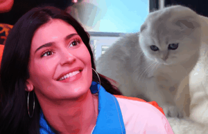 Kylie Jenner compartilha selfie de sutiã esportivo e fotos de novo gato no Instagram kylie jenner gato principal getty insta