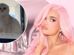 Kylie Jenner revela novo gatinho após a morte de seu cachorro Norman Kylie Jenner revela novo gatinho após a morte de seu cachorro Norman