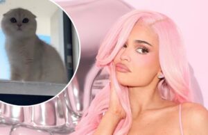 Kylie Jenner revela novo gatinho após a morte de seu cachorro Norman Kylie Jenner revela novo gatinho após a morte de seu cachorro Norman