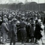 Leilão de itens relacionados ao Holocausto na Alemanha é cancelado em meio a protestos