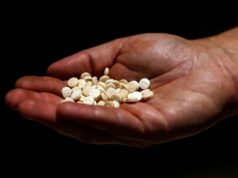 Líbano prende suposto chefão do tráfico sancionado pelo Departamento de Estado dos EUA Líbano prende suposto chefão do tráfico sancionado pelo Departamento de Estado dos EUA