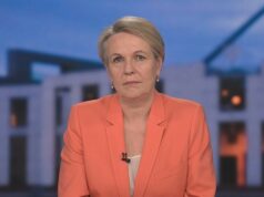 Linha de apoio à violência doméstica recebe reforço de financiamento para ‘acompanhar a demanda’ Linha de apoio à violência doméstica recebe reforço de financiamento para 'acompanhar a demanda'