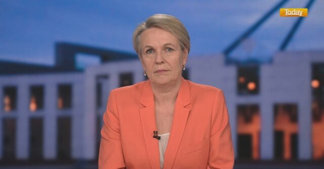 Linha de apoio à violência doméstica recebe reforço de financiamento para 'acompanhar a demanda'
