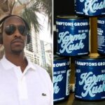 Loja de maconha de Southampton que oferece produtos 'padrão Michelin' promete abrir esta semana - funcionários ousados