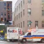 A polícia diz que Domanique Bullock sequestrou um caminhão FedEx estacionado em Park Slope, empurrando seu motorista de 25 anos para a Carroll Street por volta das 14h25.