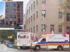 Madman rouba caminhão da FedEx nas ruas de Nova York e faz um passeio cheio de acidentes, depois retorna ao local para sequestrar uma ambulância A polícia diz que Domanique Bullock sequestrou um caminhão FedEx estacionado em Park Slope, empurrando seu motorista de 25 anos para a Carroll Street por volta das 14h25.