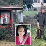 Mãe do Mississippi atira em macaco morto que escapou de caminhão capotado para proteger seus filhos: ‘Eu fiz o que qualquer outra mãe faria’