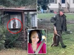 Mãe do Mississippi atira em macaco morto que escapou de caminhão capotado para proteger seus filhos: ‘Eu fiz o que qualquer outra mãe faria’ Mãe do Mississippi atira em macaco morto que escapou de caminhão capotado para proteger seus filhos: ‘Eu fiz o que qualquer outra mãe faria’