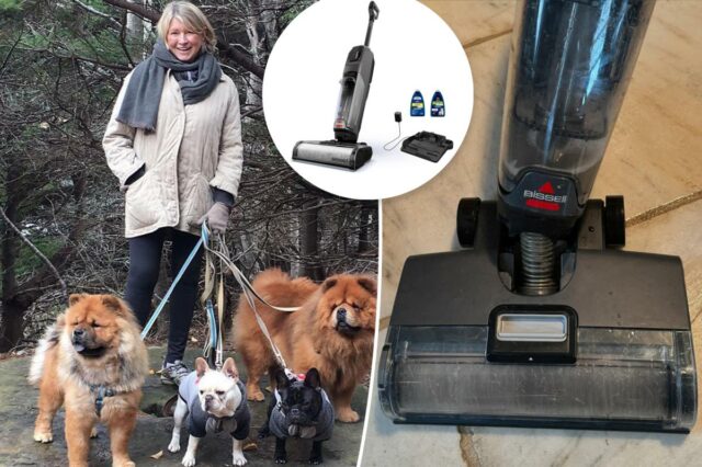 Um híbrido de esfregona a vácuo