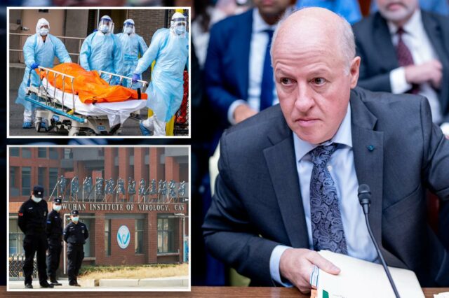 Médico de Wuhan e ex-prez da EcoHealth Alliance Peter Daszak Médico de Wuhan e ex-prez da EcoHealth Alliance Peter Daszak 'desempregado' e 'pobre': processo