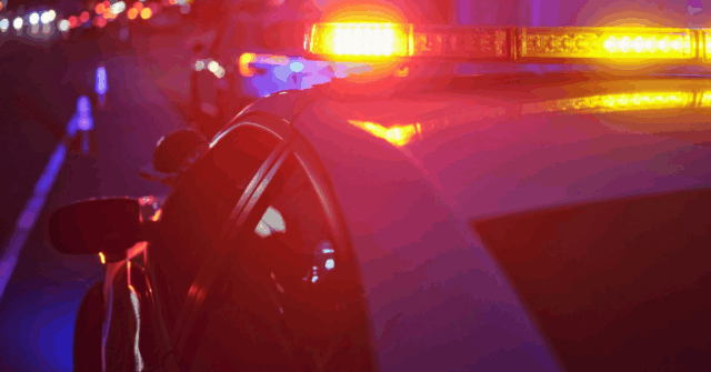 Menino de 17 anos morre após ser atropelado por um ute em Sunshine Coast
