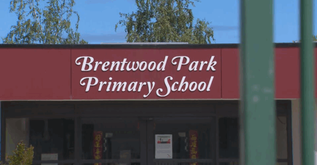 Menino esfaqueado na escola primária no sudeste de Melbourne Escola Primária Brentwood Park.