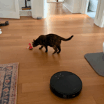 Meus gatos e eu encontramos os 8 melhores aspiradores para donos de animais de estimação, desde potentes captadores de pelos até câmeras de transmissão ao vivo