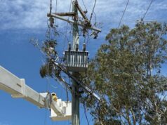 Milhares de pessoas vão sufocar sem energia enquanto o mercúrio sobe novamente em Queensland Milhares de pessoas vão sufocar sem energia enquanto o mercúrio sobe novamente em Queensland