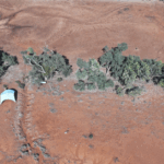 Mistério enterrado por 170 anos no remoto sertão descoberto