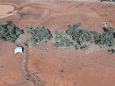 Mistério enterrado por 170 anos no remoto sertão descoberto Mistério enterrado por 170 anos no remoto sertão descoberto