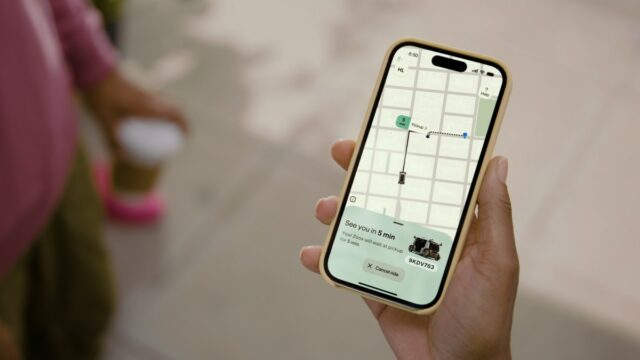 gato piscante pássaro verde