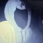 Homens encapuzados foram filmados com suas 'ferramentas elétricas' em uma câmera escondida enquanto removiam as faixas na rotatória De Luci Fish em Erith, Londres