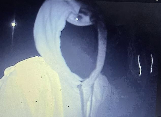 Momento em que trabalhadores municipais mascarados derrubam bandeiras da Union Homens encapuzados foram filmados com suas 'ferramentas elétricas' em uma câmera escondida enquanto removiam as faixas na rotatória De Luci Fish em Erith, Londres