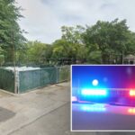 A mulher foi encontrada com traumatismo cranioencefálico caída na calçada das ruas Broome e Columbia, a poucos passos do Parque Luther Gulick, disseram as autoridades.