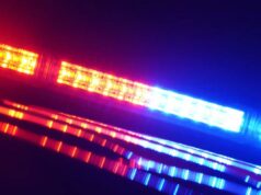 Mulher de Staten Island atropelada por jovem de 19 anos após acalorada disputa: policiais Um close de uma barra de luz de carro de polícia, com luzes de emergência vermelhas e azuis piscando.