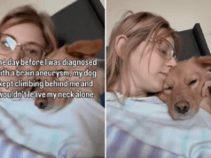 Mulher percebe que cachorro está agindo de forma estranha, mas no dia seguinte ela recebe um diagnóstico que muda sua vida Mulher percebe que cachorro está agindo de forma estranha, mas no dia seguinte ela recebe um diagnóstico que muda sua vida
