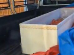 Mulher tailandesa encontrada viva em caixão em crematório Mulher tailandesa encontrada viva em caixão em crematório