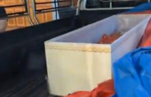 Mulher tailandesa encontrada viva em caixão em crematório Mulher tailandesa encontrada viva em caixão em crematório