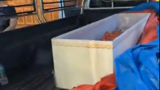 Mulher tailandesa encontrada viva em caixão em crematório
