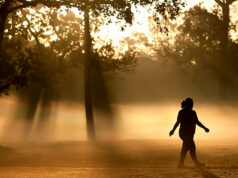 Não pode fazer terapia hormonal para a menopausa? Existem outras opções Não pode fazer terapia hormonal para a menopausa? Existem outras opções