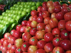 ‘Não se, mas quando’: Agricultores temem que o ‘congelamento de alimentos’ deixe milhões de pessoas com fome 'Não se, mas quando': Agricultores temem que o 'congelamento de alimentos' deixe milhões de pessoas com fome