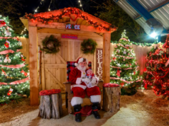 Natal de 2025: Visitando os EUA? Delicie-se com estas 10 celebrações em Louisiana Natal de 2025: Visitando os EUA? Delicie-se com estas 10 celebrações em Louisiana