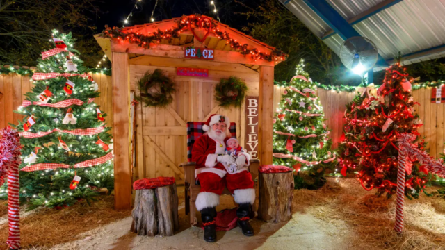 Natal de 2025: Visitando os EUA? Delicie-se com estas 10 celebrações em Louisiana

