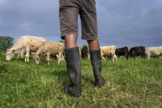Nebraska queria a agenda do Partido Republicano. Esse é o O ex-presidente republicano candidato à presidência, Donald Trump, fala em um evento de campanha no Butler Farm Show, sábado, 5 de outubro de 2024, em Butler, Pensilvânia.
