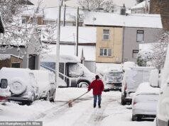 Neve atinge LONDRES – com alertas de gelo em vigor em todo o Reino Unido e quase trinta centímetros a caminho em meio a ondas de -11°C no Ártico e fortes chuvas enquanto os passageiros enfrentam um inferno nas viagens Uma pessoa passeando com seu cachorro na neve em Tow Law, County Durham, esta manhã