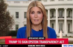 Nicolle Wallace critica a promessa de Pam Bondi de ‘transparência máxima’ para os arquivos de Epstein: ‘O público não está acreditando’ | Vídeo Nicolle Wallace critica a promessa de Pam Bondi de 'transparência máxima' para os arquivos de Epstein: 'O público não está acreditando' | Vídeo