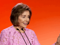 Nolte: Nancy Pelosi anuncia oficialmente sua aposentadoria Nolte: Nancy Pelosi anuncia oficialmente sua aposentadoria