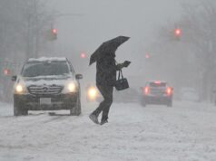Nor’easter pode causar caos na hora do rush em Nova York – até 7 centímetros possíveis nos subúrbios Vista do interior do Brooklyn Bridge Park com neve caindo, mostrando a Ponte do Brooklyn em meio à neve espessa.