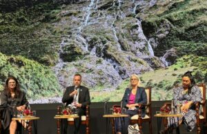 Nova Zelândia adoça incentivos cinematográficos, Eyes India Co-Production Revival – WAVES Film Bazaar Nova Zelândia adoça incentivos cinematográficos, Eyes India Co-Production Revival - WAVES Film Bazaar